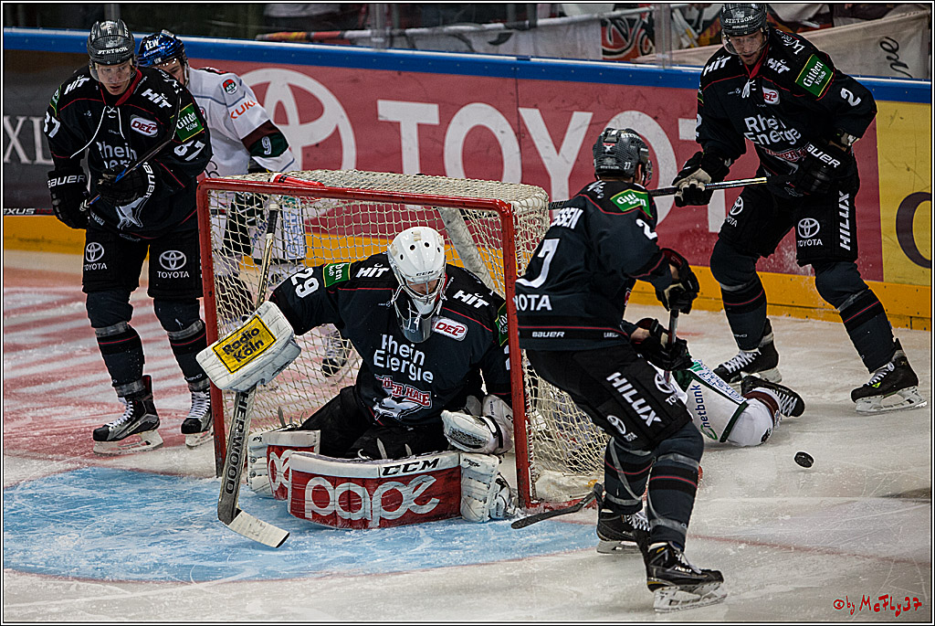 DEL, Koelner Haie - Augsburger Panther, 13.01.2017